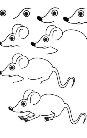 Поэтапное рисование мыши