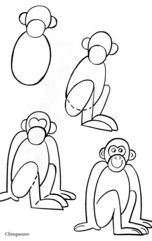 Поэтапное рисование обезьяны