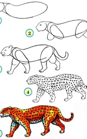 Поэтапное рисование животных