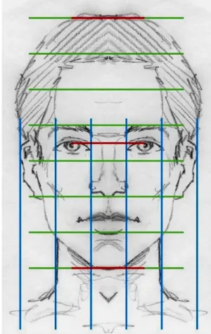 Портрет конструкция головы человека. Анфас профиль