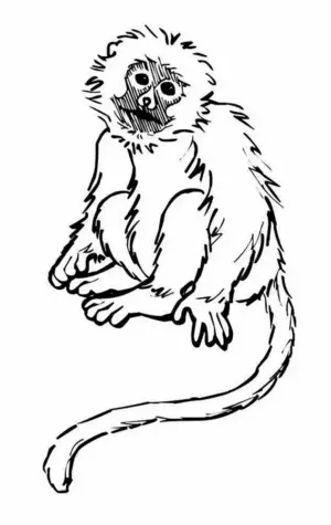 Раскраска к рассказу Житкова про обезьянку 3 класс
