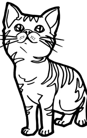 Раскраска котенок полосатый