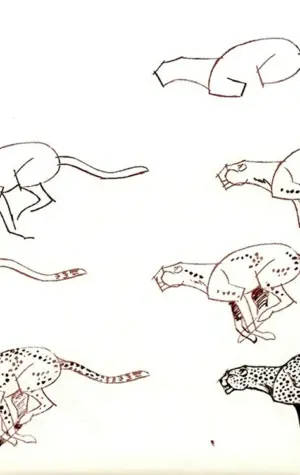 Рисование животных в движении