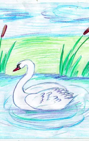 Рисуем лебедей на озере