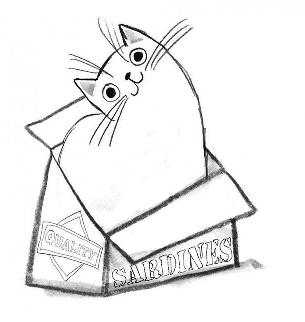 Рисунки карандашом котов смешные