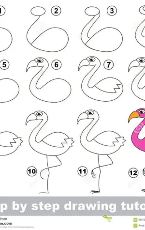 Рисунок Фламинго для детей пошагово
