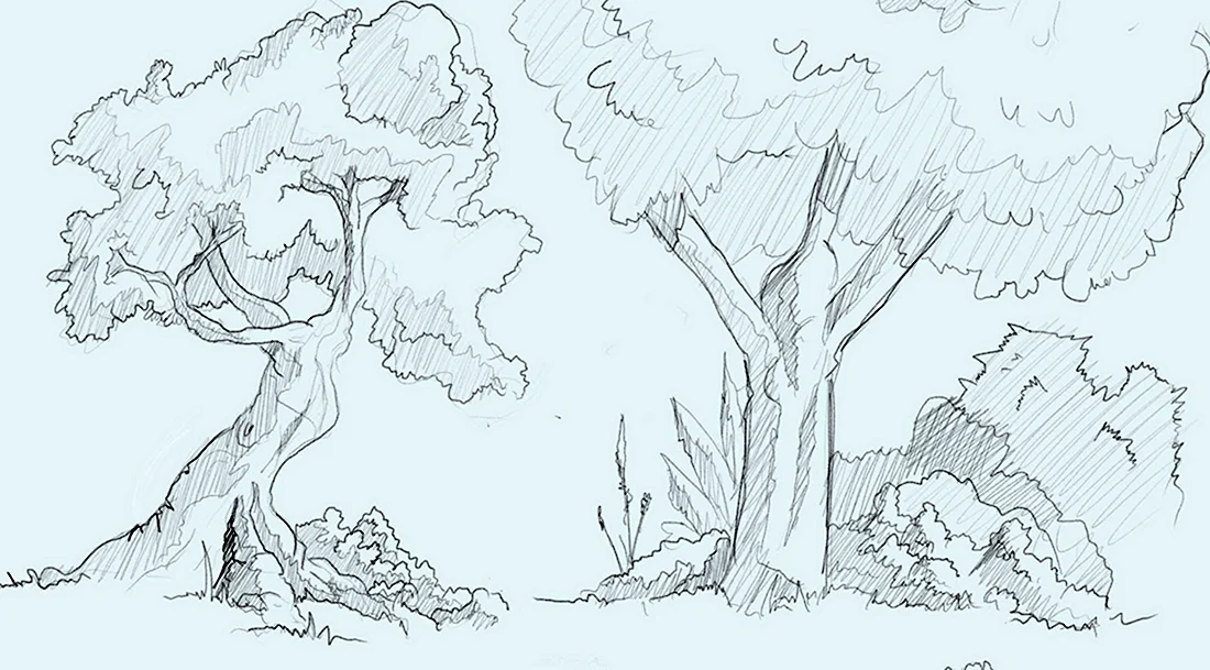 Рисунок леса карандашом для срисовки