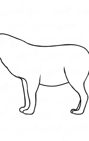 Рисунок волка для детей лёгкий