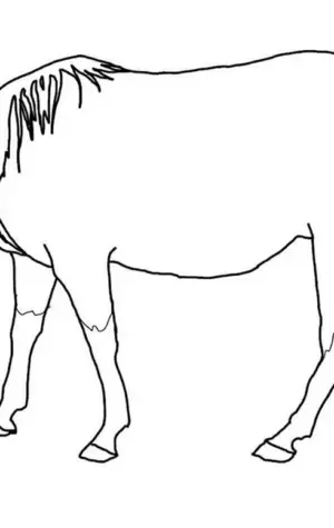 Шаблон лошади для рисования