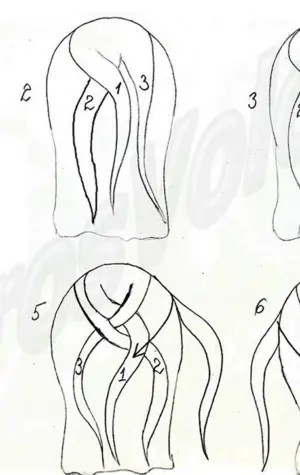 Схема плетения колоска для начинающих