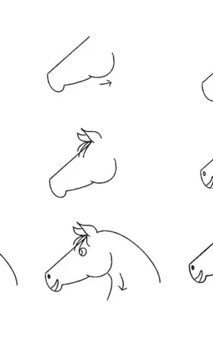 Схема рисования лошади для детей