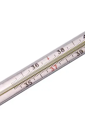 Термометр ртутный 1 шт. Меридиан