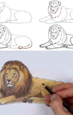Уроки рисования Льва