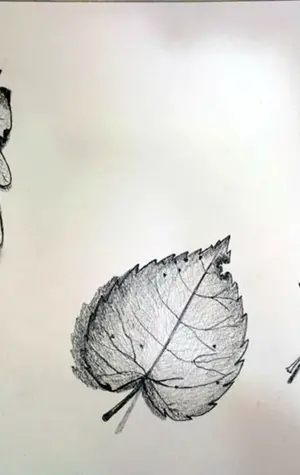 Зарисовки листьев