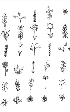 Зарисовки мелких растений