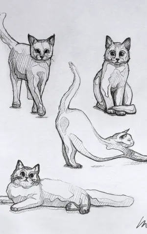 Зарисовки животных