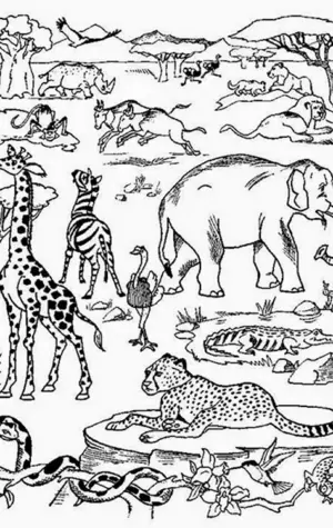 Животные Африки раскраска