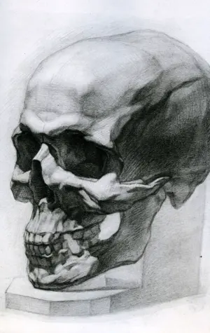 Академический рисунок Академия Репина череп