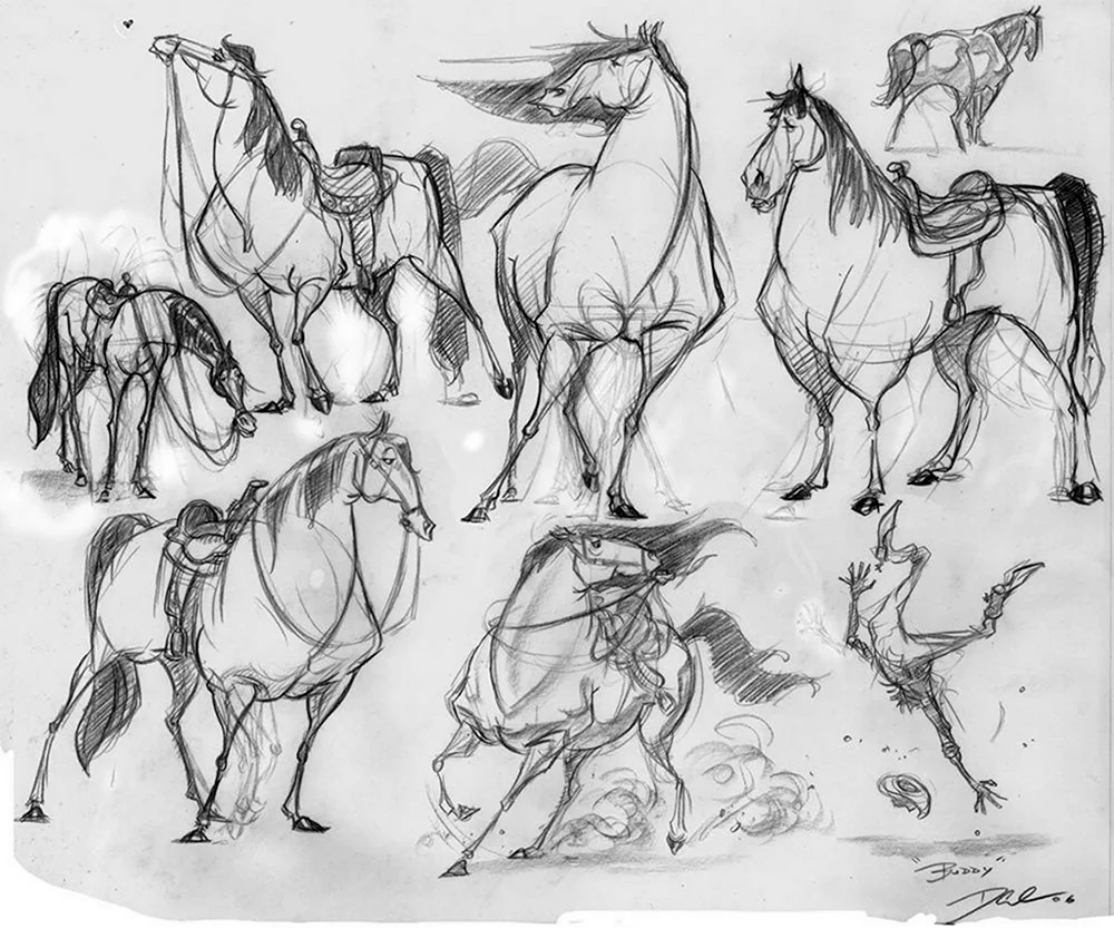 Анатомия лошадей стилизованная