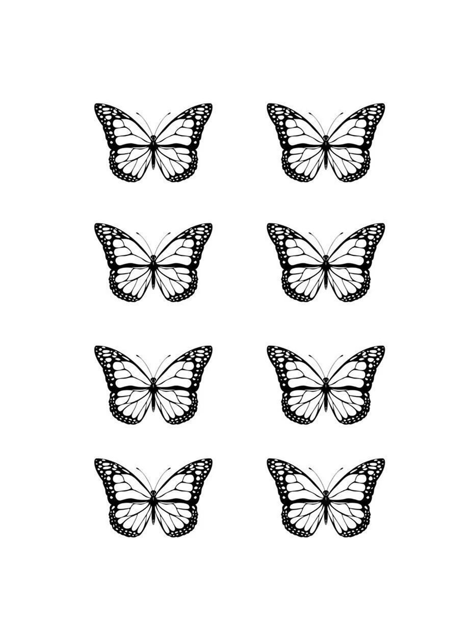 Бабочка эскиз