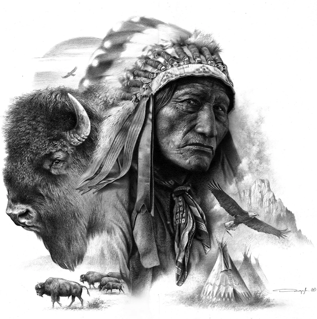 Бизон индейцы Лакота