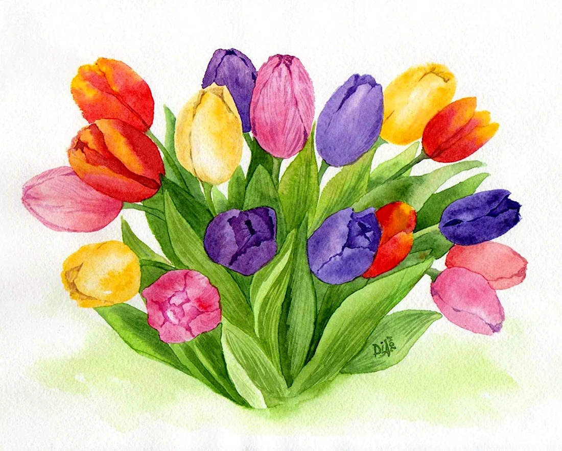 Букет для рисования тюльпаны