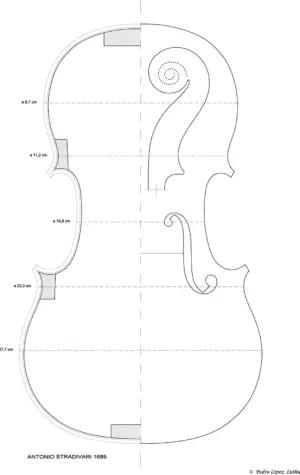 Чертеж скрипки Antonio Stradivari