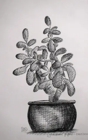 Денежное дерево рисунок карандашом