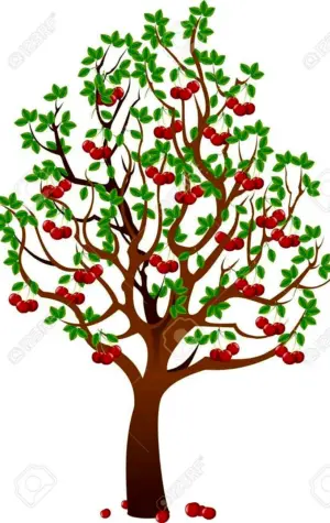 Дерево вишня для детей