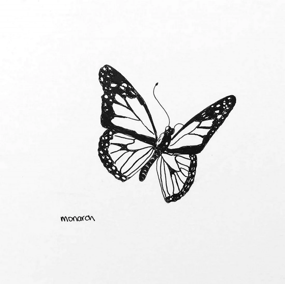Эскиз тату бабочка Минимализм