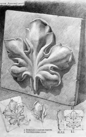 Гипсовая розетка пятилистник Академический рисунок