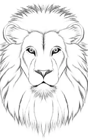 Голова Льва рисунок