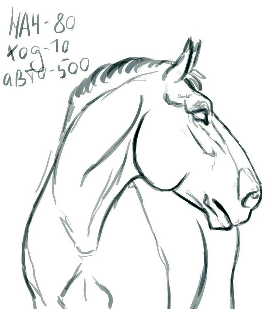 Идеи для рисунков коня