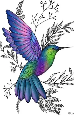 Колибри птица рисунок