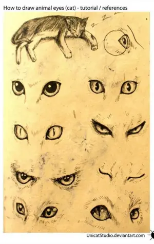 Кошачьи глаза референс