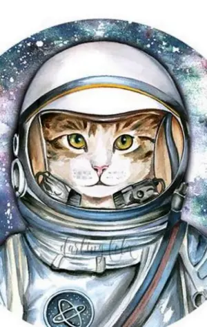 Кот космонавт