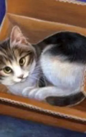 Кот в коробке в живописи