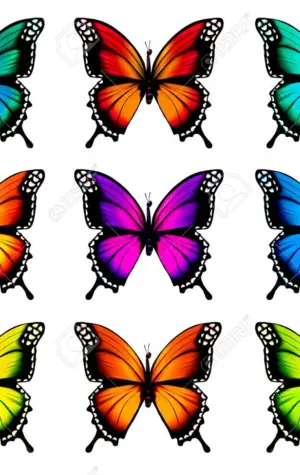 Красивые цветные бабочки для вырезания
