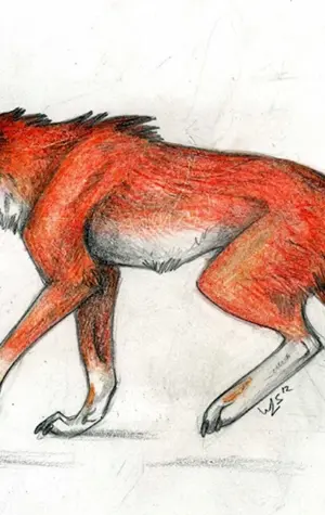 Красный волк рисовать