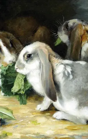 Кролики с.а.Веретенникова