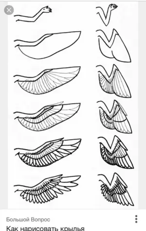 Крылья для рисования