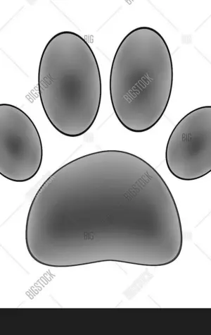 Лапа собаки рисунок на прозрачном фоне