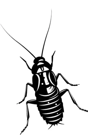 Мадагаскарские тараканы вектор