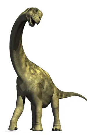 Маменчизавр Диплодок