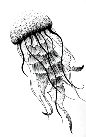 Медуза дотворк