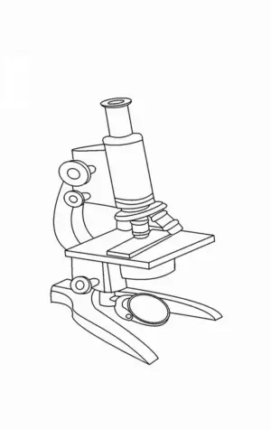 Микроскоп раскраска