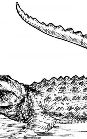 Миссисипский Аллигатор рисунок