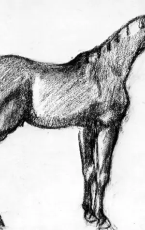 Нарисованная лошадь в профиль