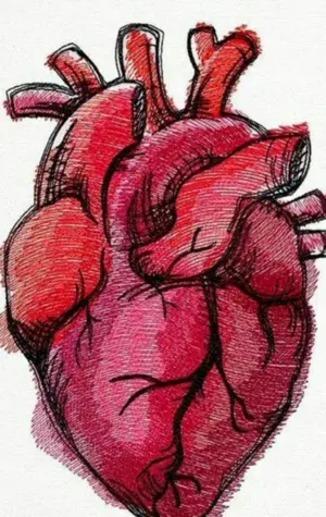 Нарисовать сердце