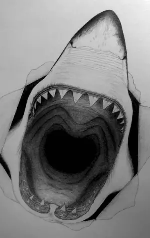Пасть акулы 3д